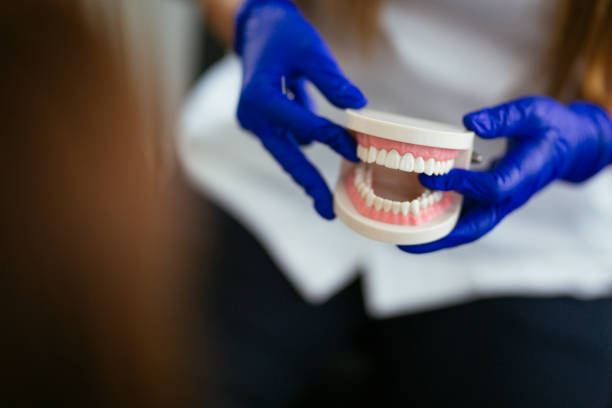 Best Dental Exams and Cleanings  in Palm Springs North, FL